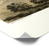 Centralia, IL Panoramic Map - 1867 Poster (Hoek)