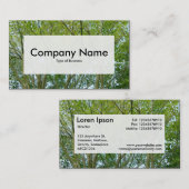 Centre Étiquette v3 - Érable japonais (Devant / Derrière)