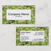 Centre Étiquette v4 - Sedum (Automne Joy) (Devant / Derrière)