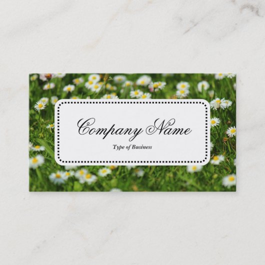 Centre Étiquette v5 - Daisy Meadow (Devant)