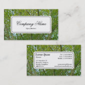 Centre Étiquette v5 - Érable japonais (Devant / Derrière)