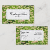 Centre Étiquette v5 - Sedum (Automne Joy) (Devant / Derrière)