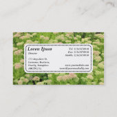 Centre Étiquette v5 - Sedum (Automne Joy) (Dos)