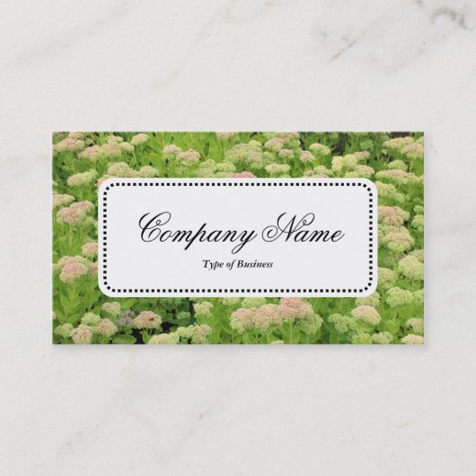 Centre Étiquette v5 - Sedum (Automne Joy) (Devant)