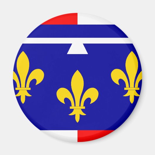 Centrum, Frankrijk vlag Magneet (Voorkant)