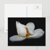 centrum van zuidelijk magnolia briefkaart (Voorkant / Achterkant)