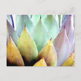 Century Plant nr. 1 Briefkaart