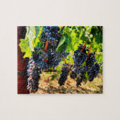 Cépages de vin Jigsaw Puzzle (Horizontal)