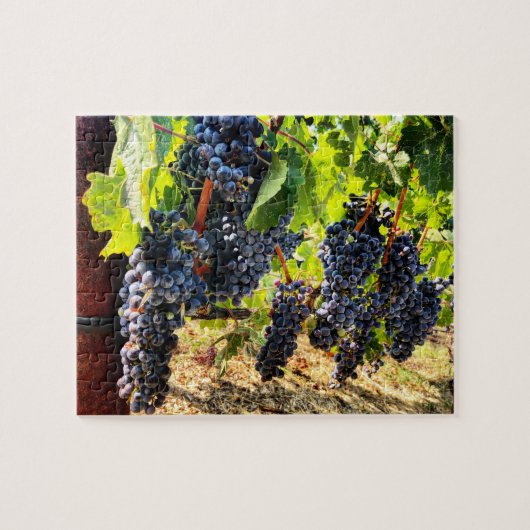 Cépages de vin Jigsaw Puzzle (Horizontal)