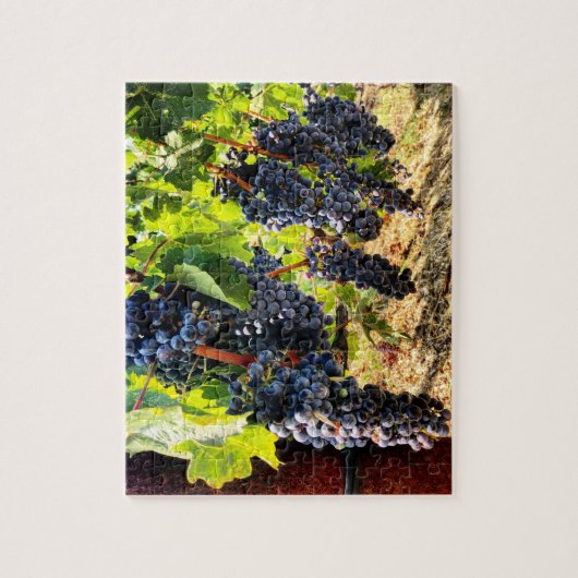 Cépages de vin Jigsaw Puzzle (Vertical)