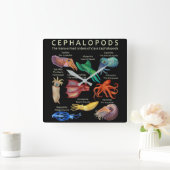 Cephalopod Octopus Squid Cuttlefish Vierkante Klok (Huis)
