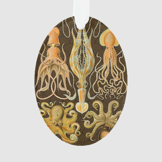 Cephalopod poulpe calmar Nature marine (dos)