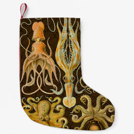 Cephalopoda octopus inktvis mariene Natuur Kleine Kerstsok