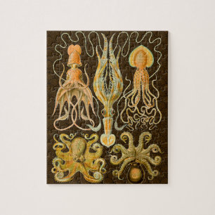 Cephalopoda octopus inktvis mariene Natuur Legpuzzel