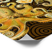 Cephalopoda octopus inktvis mariene Natuur Poster (Hoek)