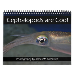 Cephalopoden zijn 'Cool Calendar' Kalender