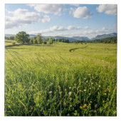 Ceramic Tile Tegeltje (Voorkant)