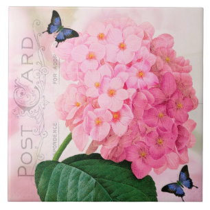 Ceramiektegel van de Hydrangea hortensia van Tegeltje