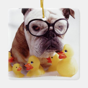 CÉRAMIQUE **BOULEDOGUE AVEC CANARDS EN CAOUTCHOUC** ORNEMENT