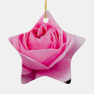 Céramique Ornement de rose de rose en pastel