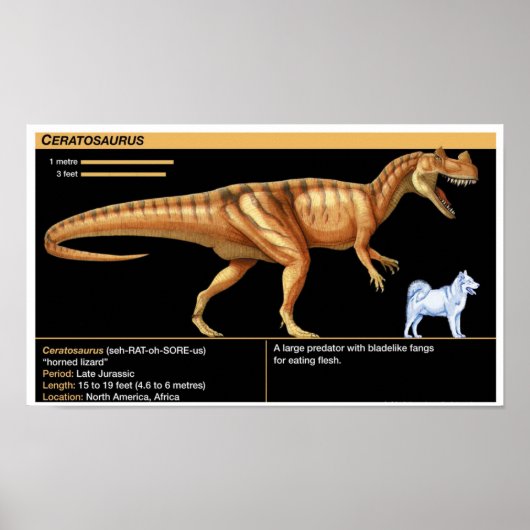 Ceratosaurus - Biology Jurassic Poster (Voorkant)