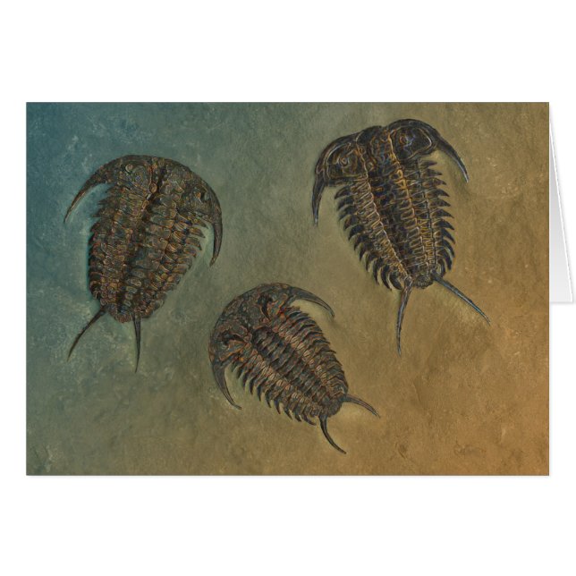 Ceraurus et Leviceraurus (Devant horizontal)