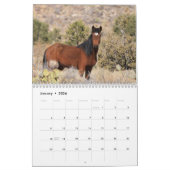 Cerbat Wild Horses Calendar Kalender (Jan 2026)