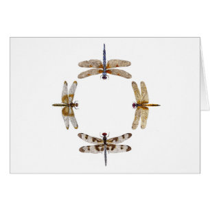 Cercle des libellules