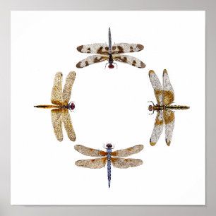 Cercle des libellules Poster II