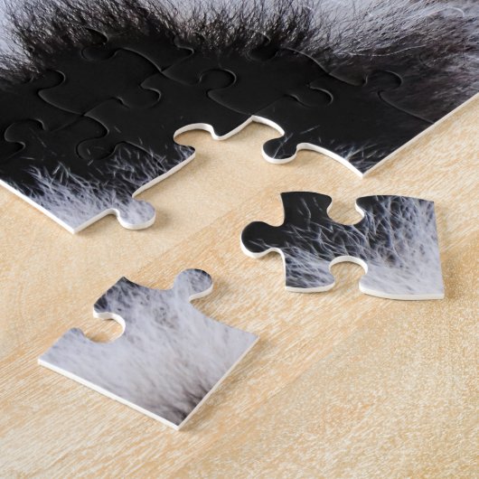 Cercle Tail Lemur, Puzzle (Côté)
