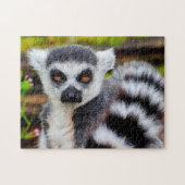 Cercle Tail Lemur, Puzzle (Horizontal)
