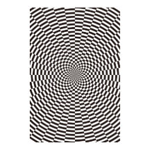 Cercles Concentrés Déplacé 9 Degrés Poster