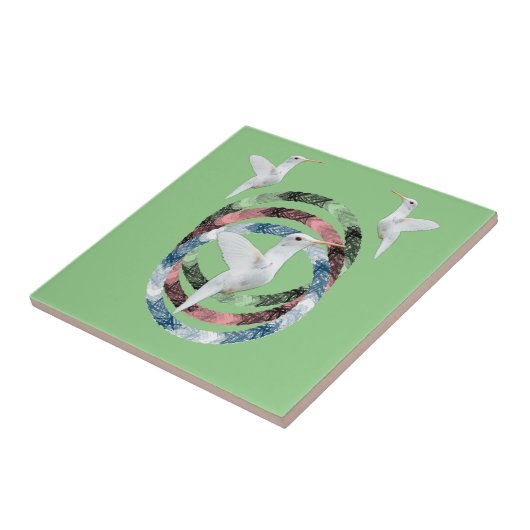 Cercles d'oiseaux carreaux en céramique (Côté)