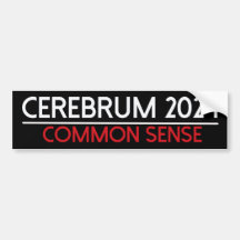 Cerebrum 2024 bumpersticker