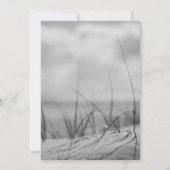 Cérémonie Mariage des dunes de plage du programme (Dos)