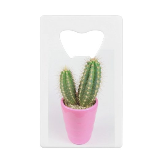 Cereus cactus dans un pot rose (Devant)