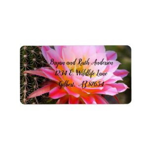 Cereus in Pink Cactus Bloom Etiket