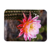 Cereus in roze cactus bloom, Arizona Magneet (Horizontaal)