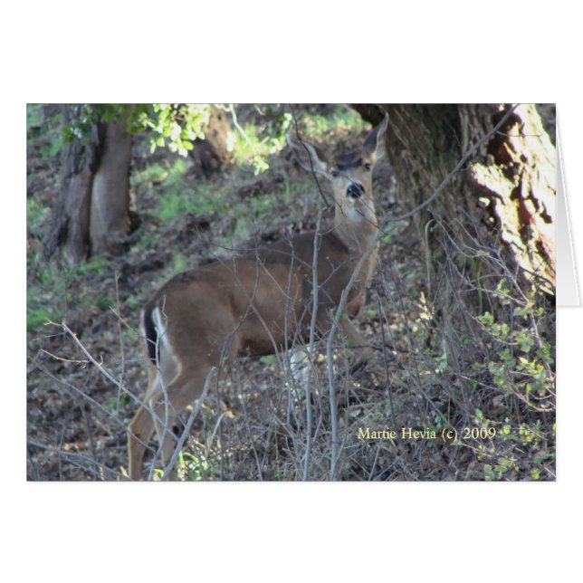 Cerf (1a) - Personnalisable (Devant Horizontal)