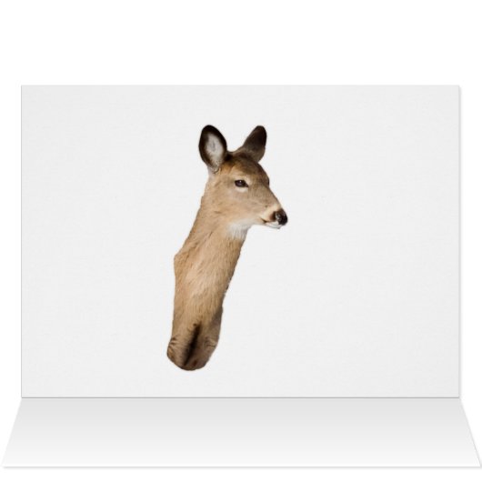 Cerf À La Neige Et À La Brosse (Intérieur Horizontal (Haut))