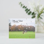 Cerf à Phoenix Park Dublin Carte postale (Debout devant)