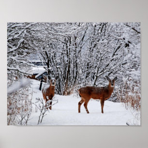 Cerf à queue blanche en hiver Poster de valeur nei