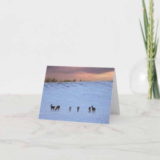 Cerf au coucher du soleil (Devant)