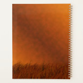 Cerf blanc dans les Prairies (Dos)