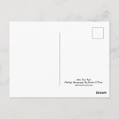 Cerf, buck, faune, carte postale (Dos)