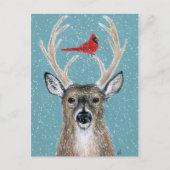 Cerf, cardinal, neige, carte postale de Noël (Devant)