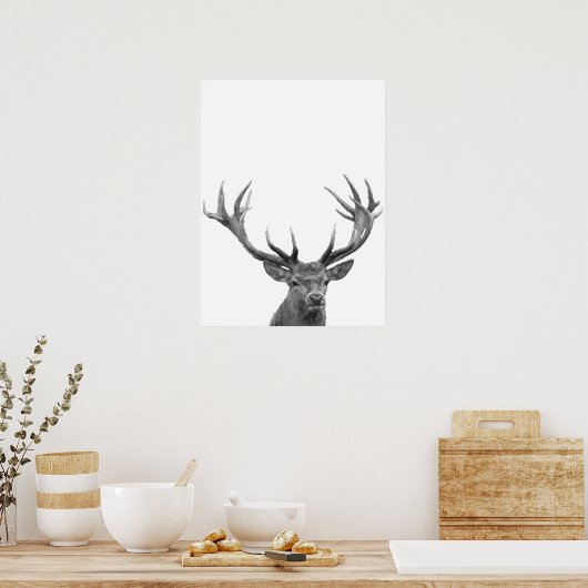 Cerf Daim Noir Blanc Photo Affiche (Cuisine)