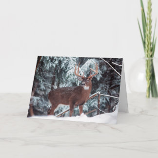 Cerf dans la carte de voeux de neige