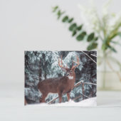 Cerf dans la carte postale de neige (Debout devant)