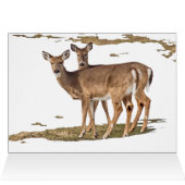 Cerf dans la neige (Intérieur Horizontal (Haut))